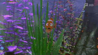 El verdadero mensaje de buscando a Nemo que deberías conocer y qué podemos hacer desde nuestro hogar