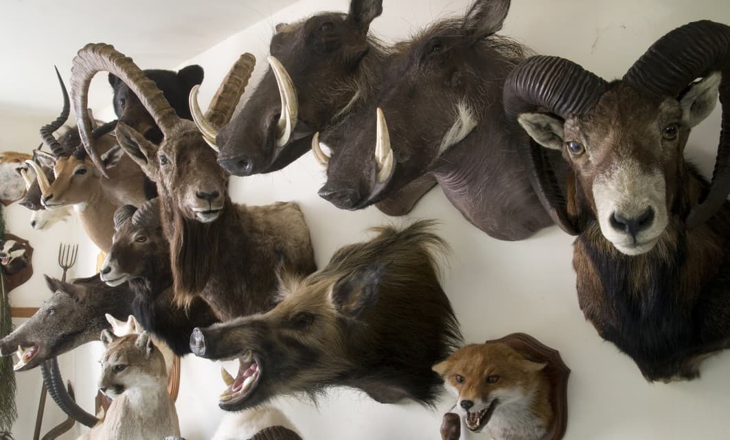 7 decoraciones que todas odiamos limpiar