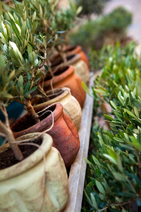 Equipamiento para la decoración de terrazas y jardines