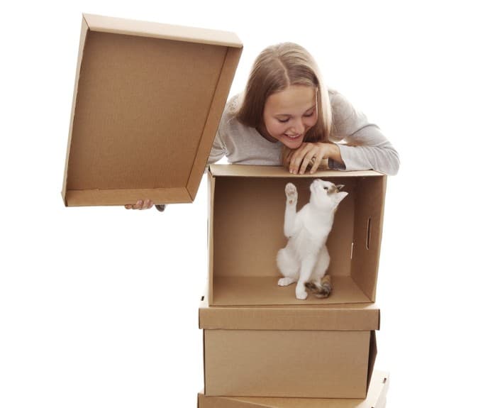 La casa más linda para tu gato la puedes hacer tú y te lo agradecerá con ternura