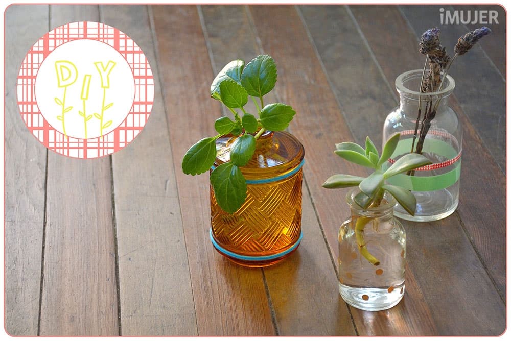 5 elementos que puedes reciclar y reutilizar en tu hogar