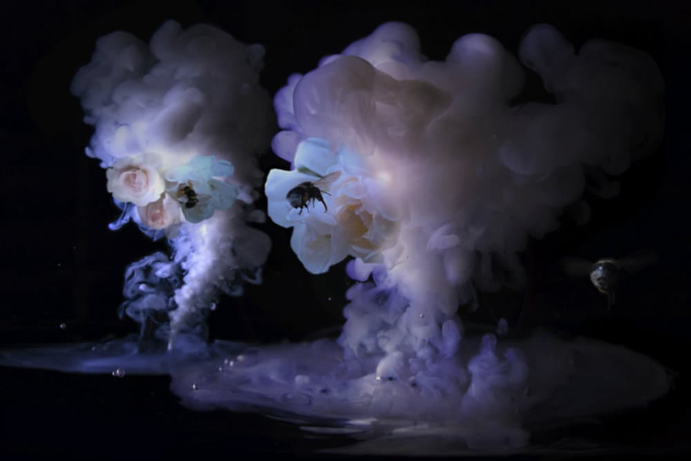 5 Fragancias extrañas