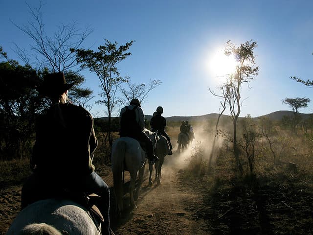 Safaris a caballo: una experiencia emocionante