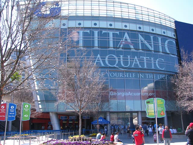 El acuario más grande del mundo: Georgia Aquarium