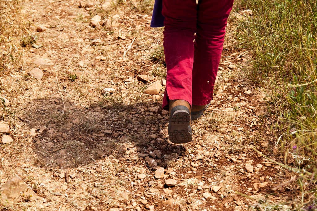 Ventajas de ir en una excursión