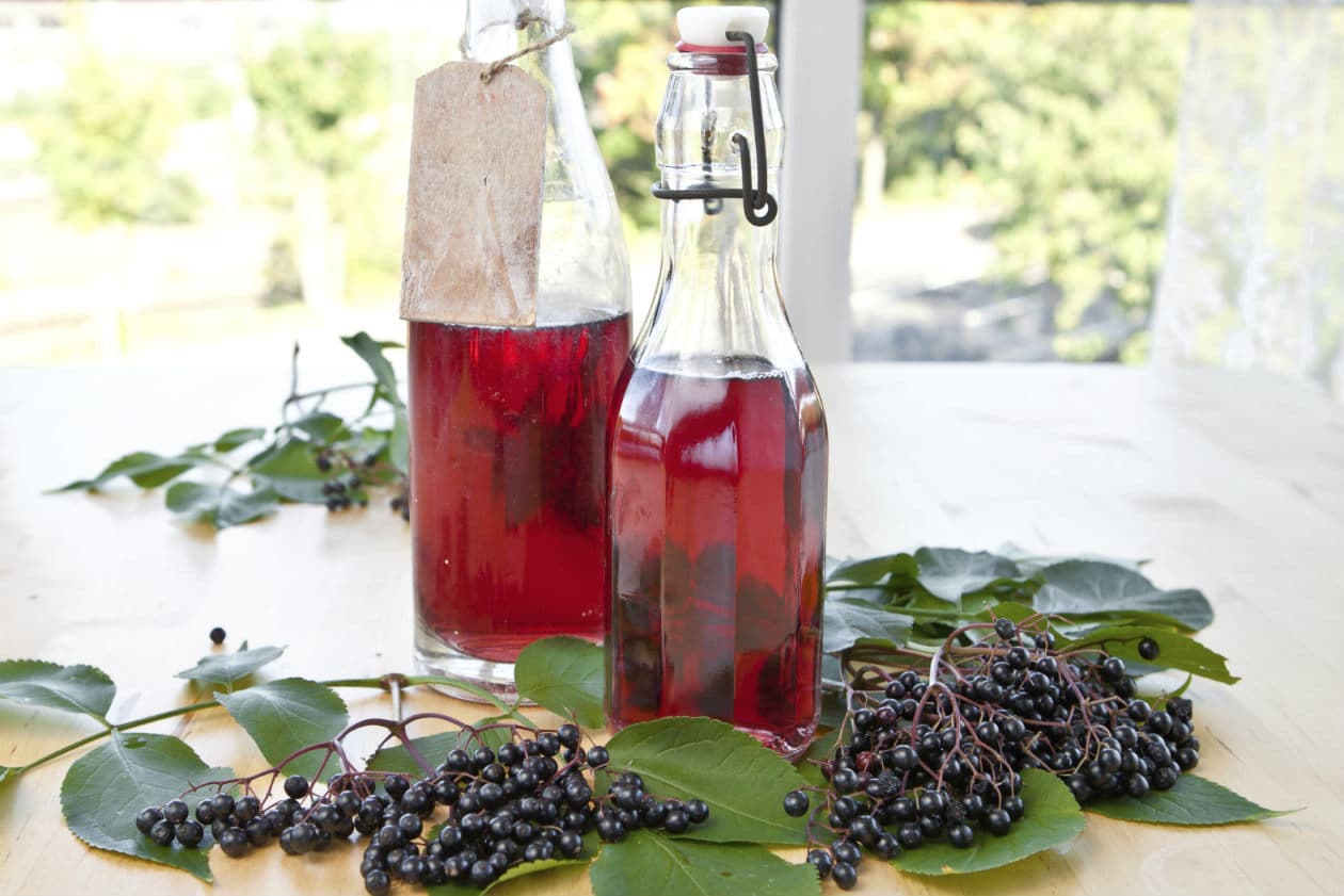 Para qué es buena la baya de Elder