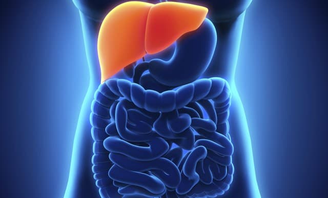 ¿Ojos rojos o amarillos? Te explicamos lo que el color dice sobre tu salud