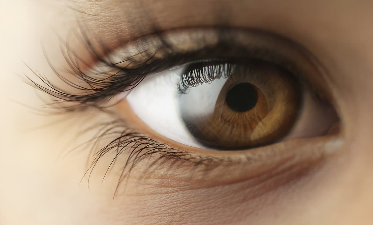 “Olo”: el nuevo color que solo cinco personas en el mundo han podido ver