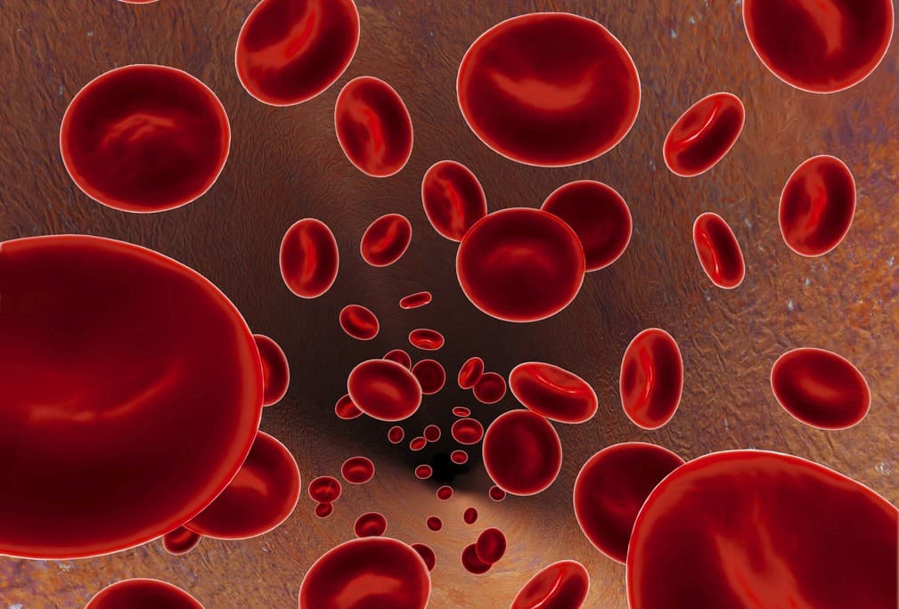 Los diferentes tipos de anemia