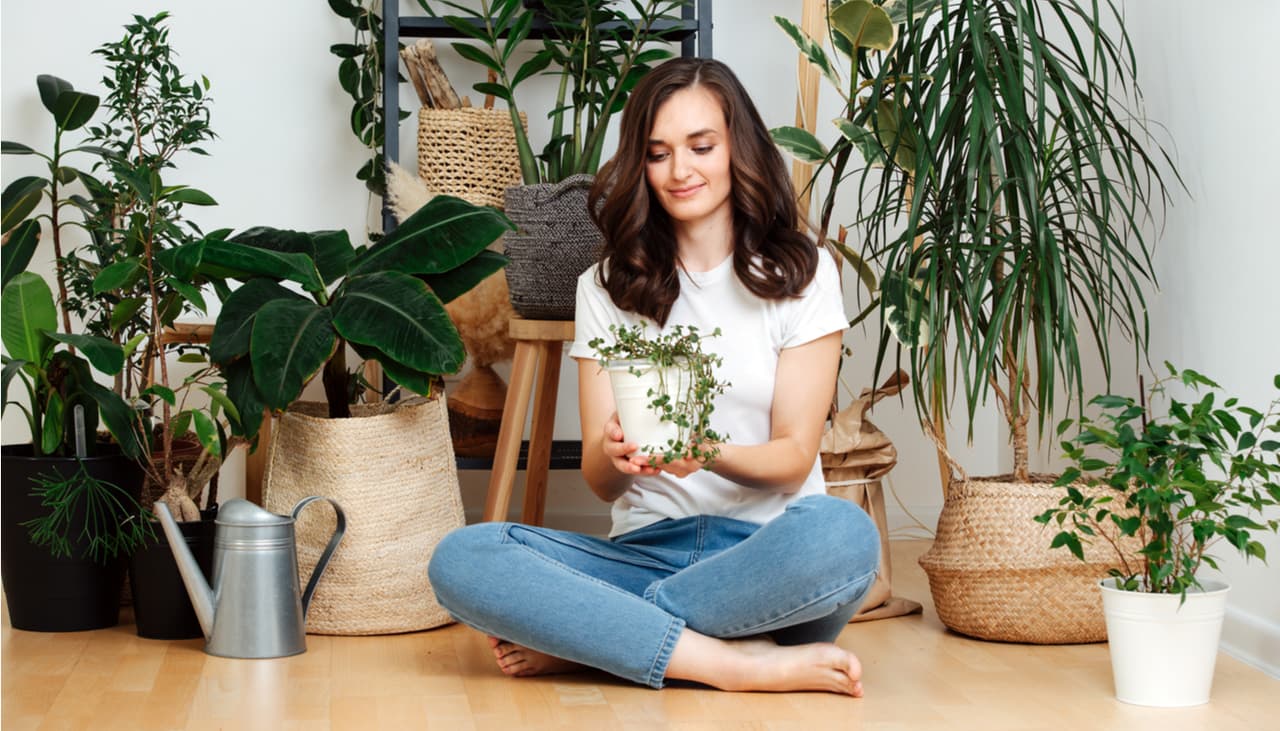 Las plantas de agua son la nueva tendencia para decorar tu hogar: 5 opciones fáciles de cuidar