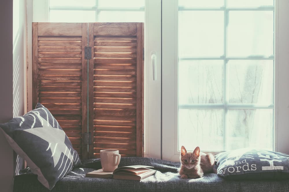 Cómo atraer las buenas energías en el hogar: será tu lugar preferido en el mundo