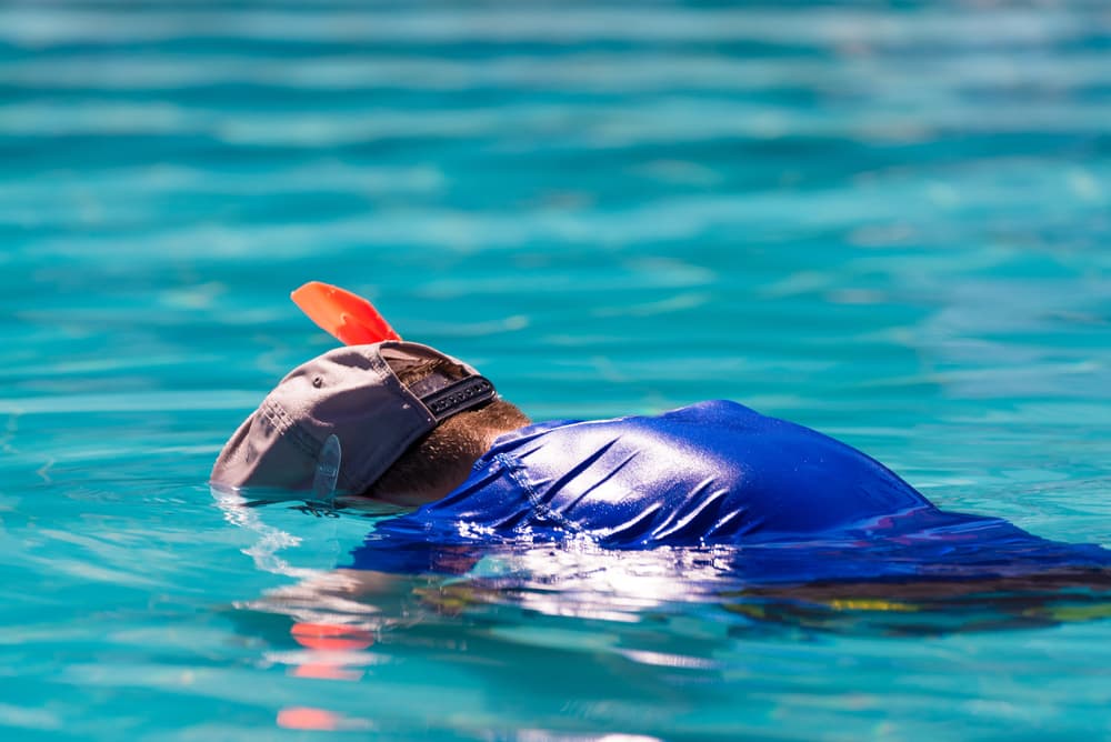 Estas son las razones por las que no debes usar ropa de calle en la alberca