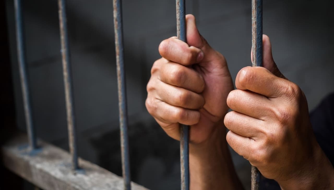 Conoce las 'granjas de cuerpos': suenan a peli de terror, pero son una herramienta de la ciencia