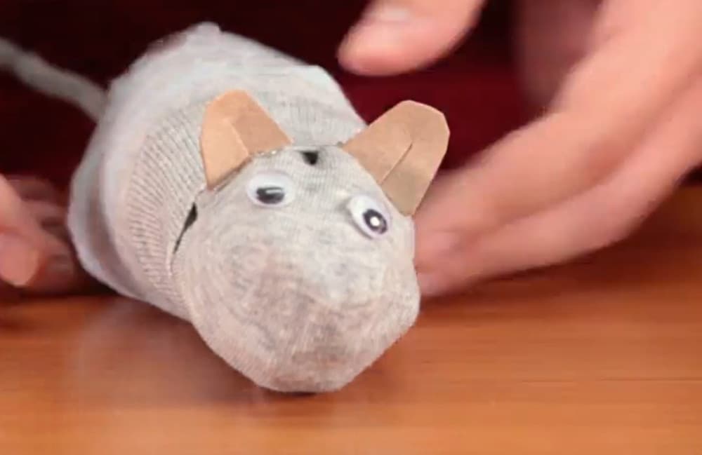 Tu hijo con bigotes va a ronronear de felicidad: aprende cómo hacer juguetes para gatos y más