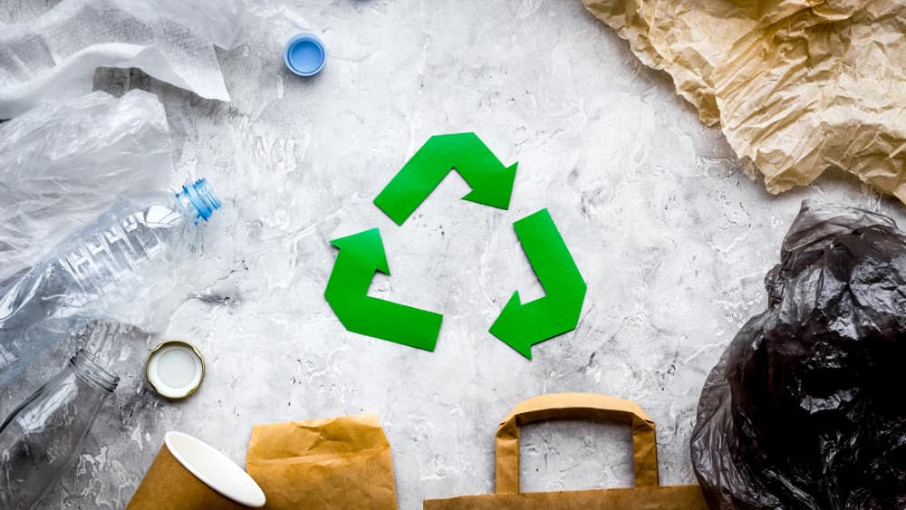 ¿Reciclado o reciclable? Entender cada una podría hacer la diferencia en el planeta, ¡te decimos por qué!