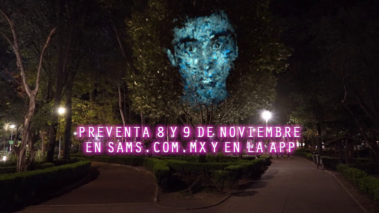 ¿Cómo puedes ahorrar en tus compras en línea? Te decimos el secreto