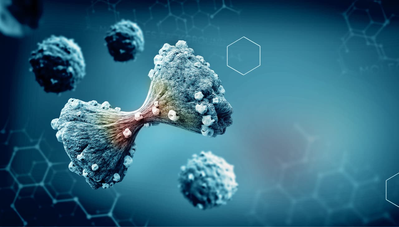 Los tumores cancerígenos se podrían autodestruir gracias a una nueva investigación científica