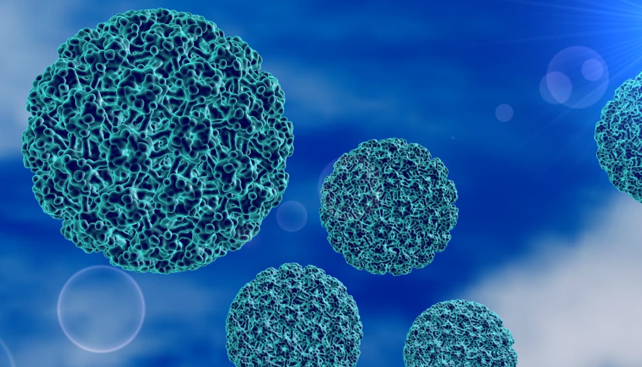 ¿Existe cura para el HPV? Una científica mexicana nos da una buena noticia